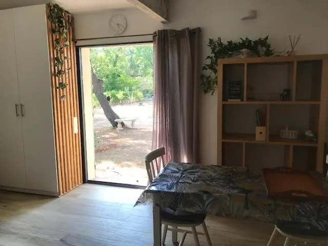 La Brindille Petit Mas Provencal Meuble De Tourisme 3 Etoiles 2-3 Personnes 1 Piece 30 M2 Tout Confort Lisiere Foret Jardin Jacuzzi Piscine Saint-Paul-en-Foret