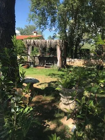 Вилла La Brindille Petit Mas Provencal Meuble De Tourisme 3 Etoiles 2-3 Personnes 1 Piece 30 M2 Tout Confort Lisiere Foret Jardin Jacuzzi Piscine Saint-Paul-en-Foret Франция